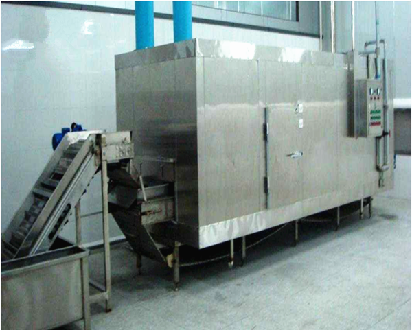 IQF Tunnel freezer for sea food