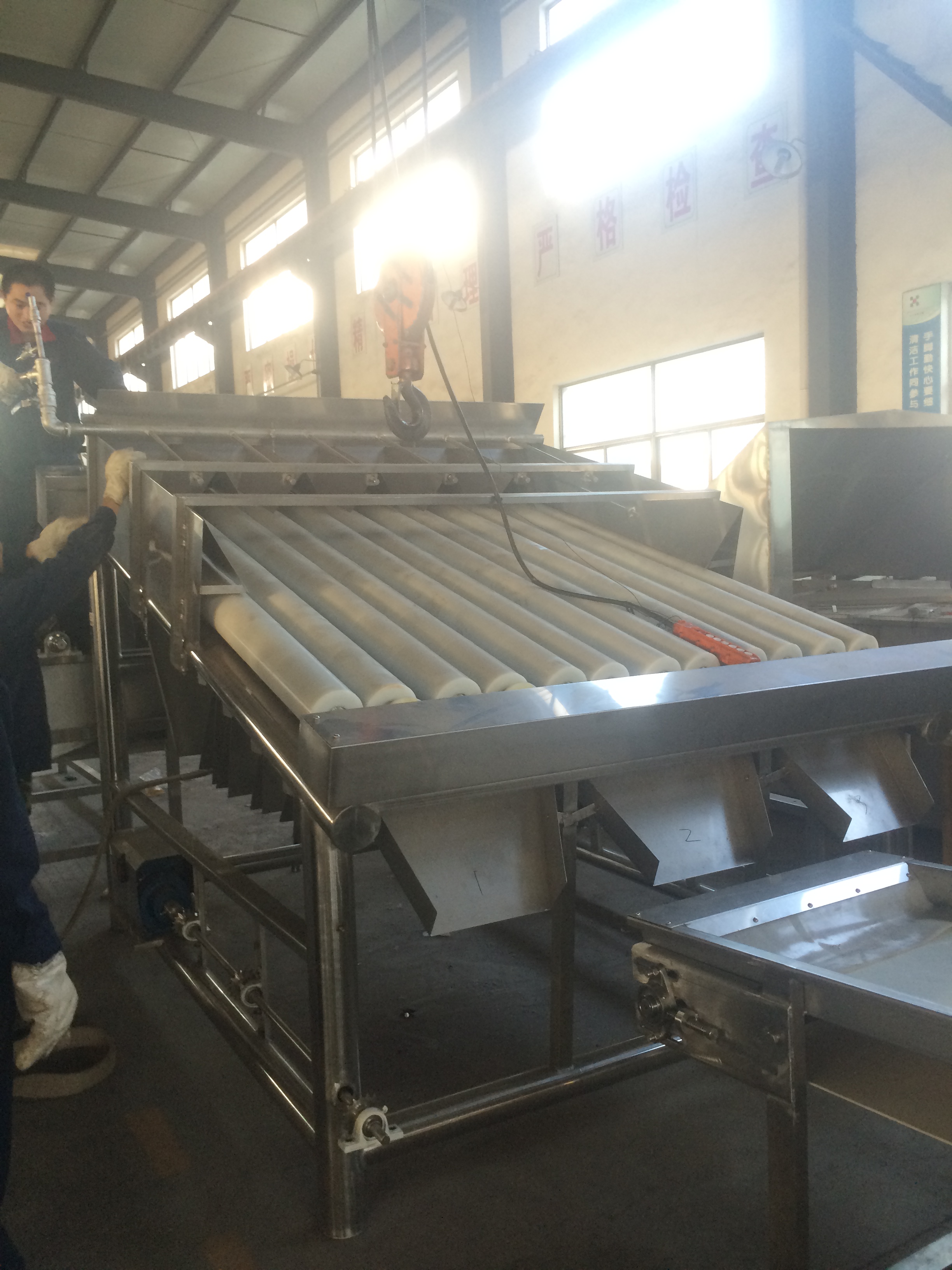 Shrimp Grader